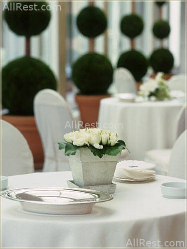 Arts Ritz Carlton 33